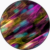 icon-iSMC